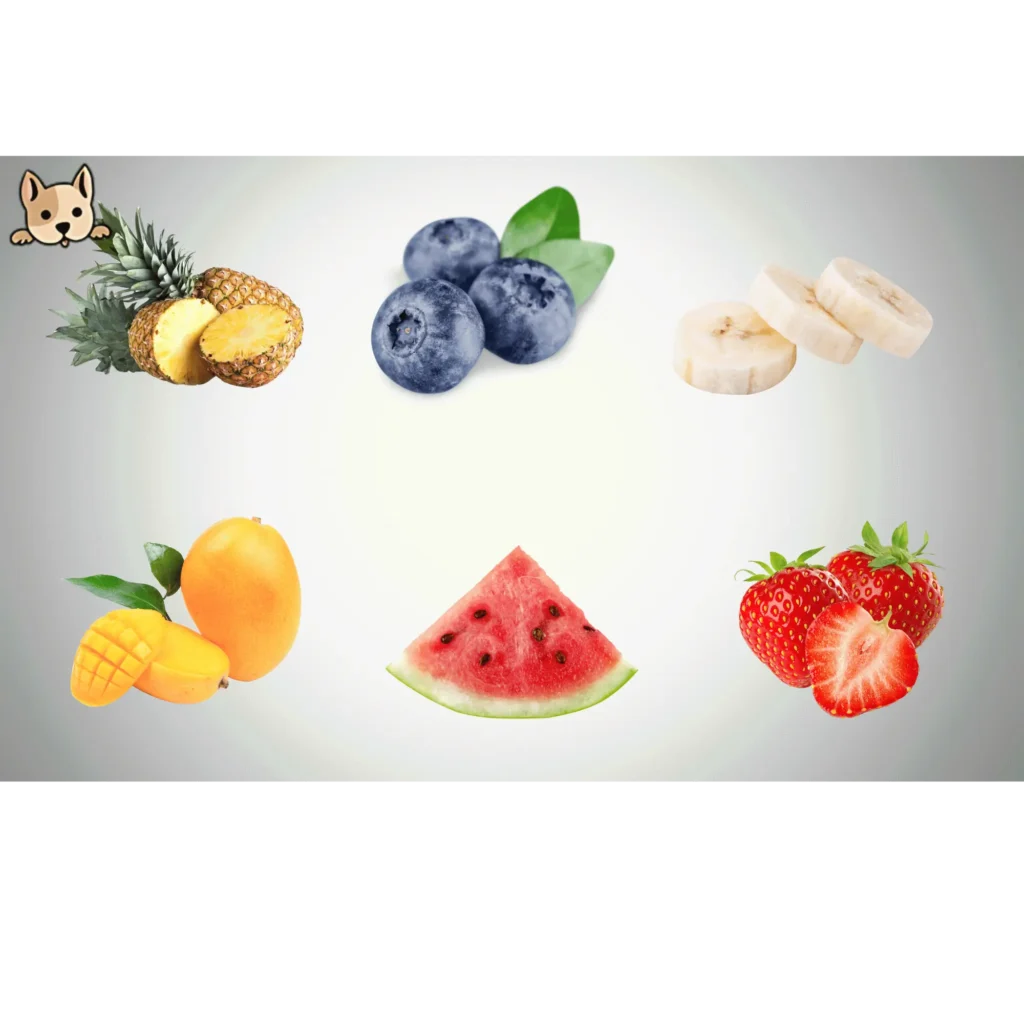 Alternative Fruits Dogs Can Eat