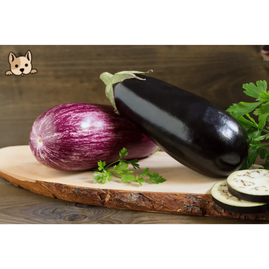 Benefits of Eggplant for Dogs