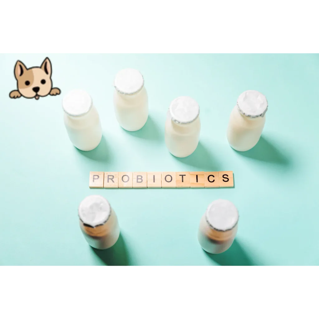 Benefits of Probiotics for Dogs