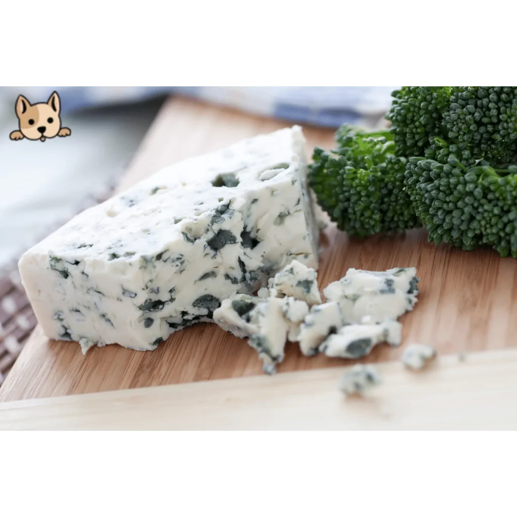 Can Dogs Eat Blue Cheese