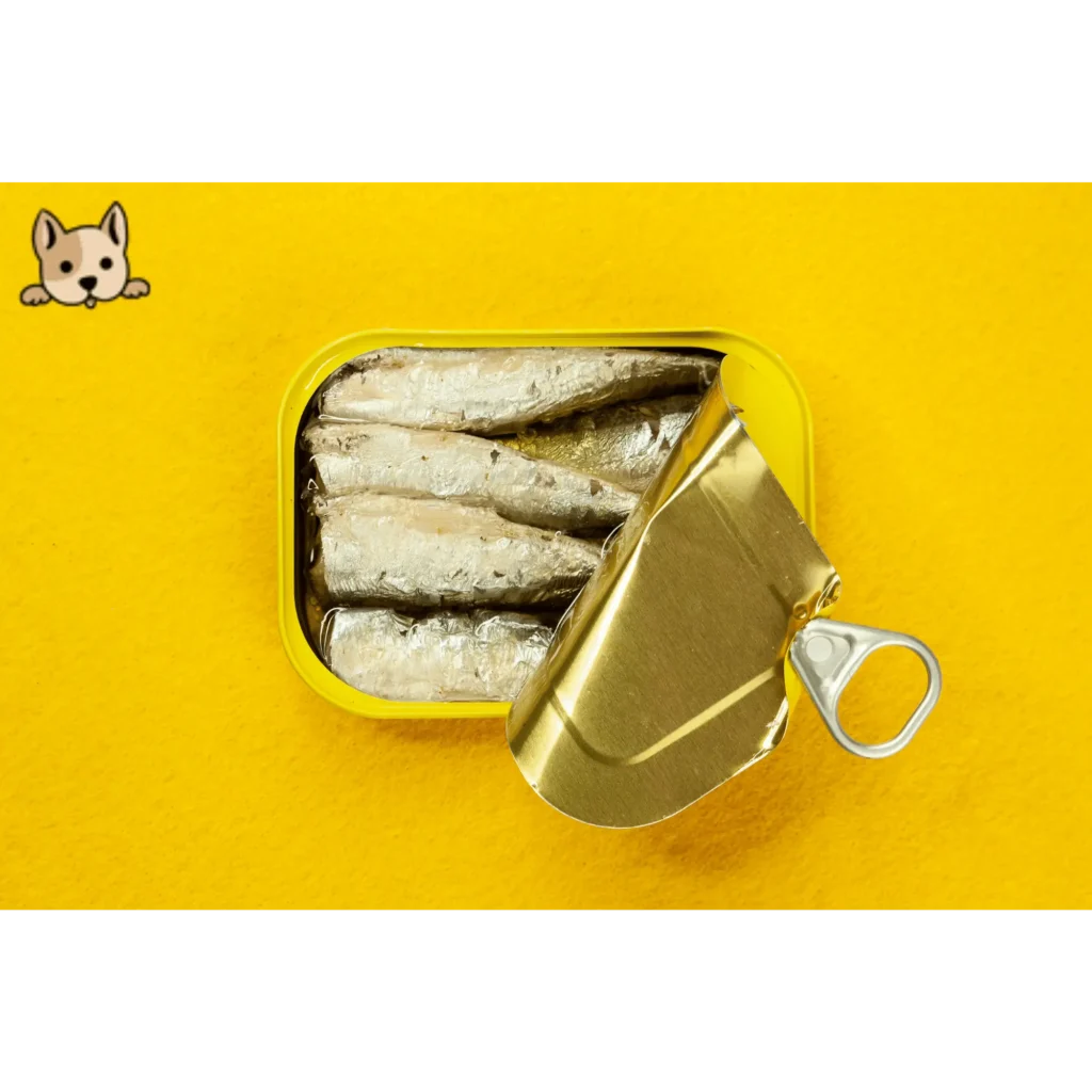 Can Dogs Eat Canned Sardines