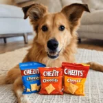 Can Dogs Eat Cheez-Its