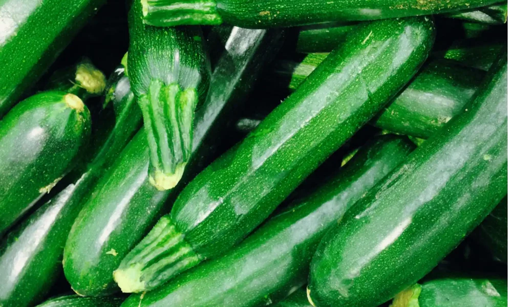 Can Dogs Eat Courgette Safely