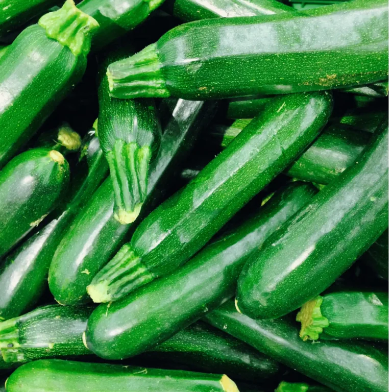 Can Dogs Eat Courgette Safely