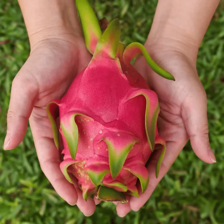 Can Dogs Eat Dragon Fruit? A Safe Snack or a Risky Treat? 1 Can Dogs Eat Dragon Fruit