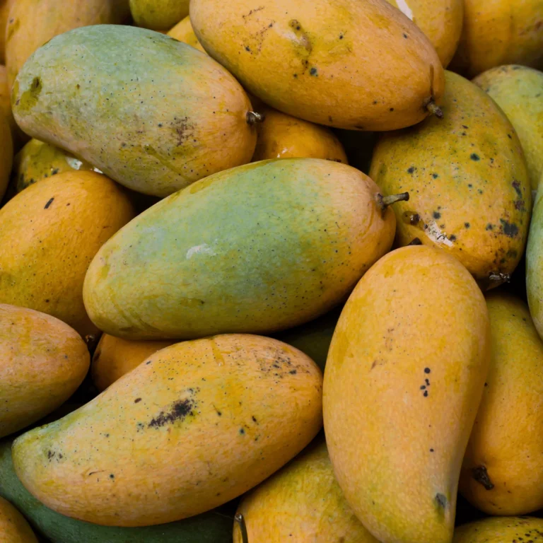 Can Dogs Eat Mango