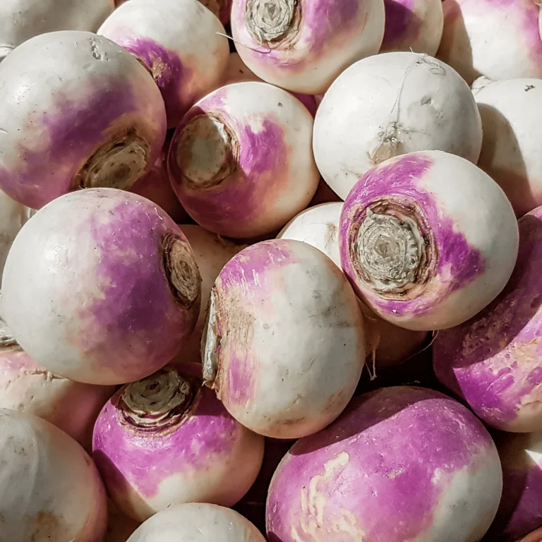 Can Dogs Eat Rutabaga
