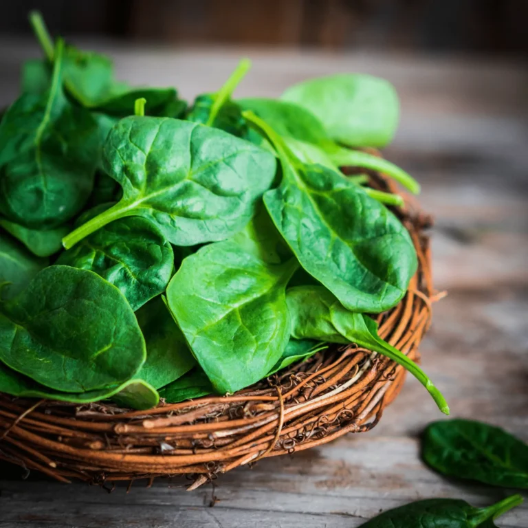 Can Dogs Eat Spinach