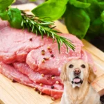 Dogs can eat veal