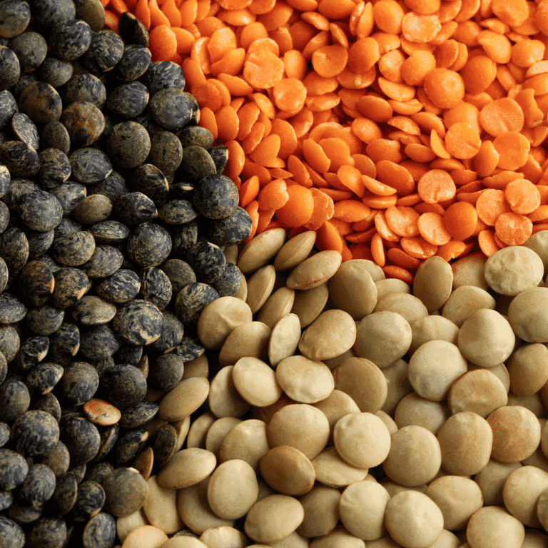 Can dogs eat lentils
