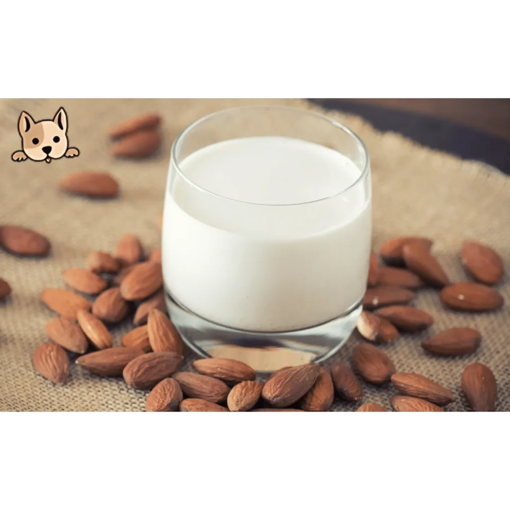Create Your Own Almond Milk