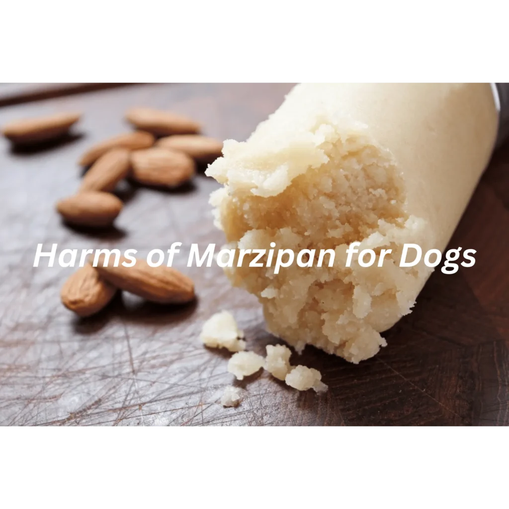 Harms of Marzipan for Dogs