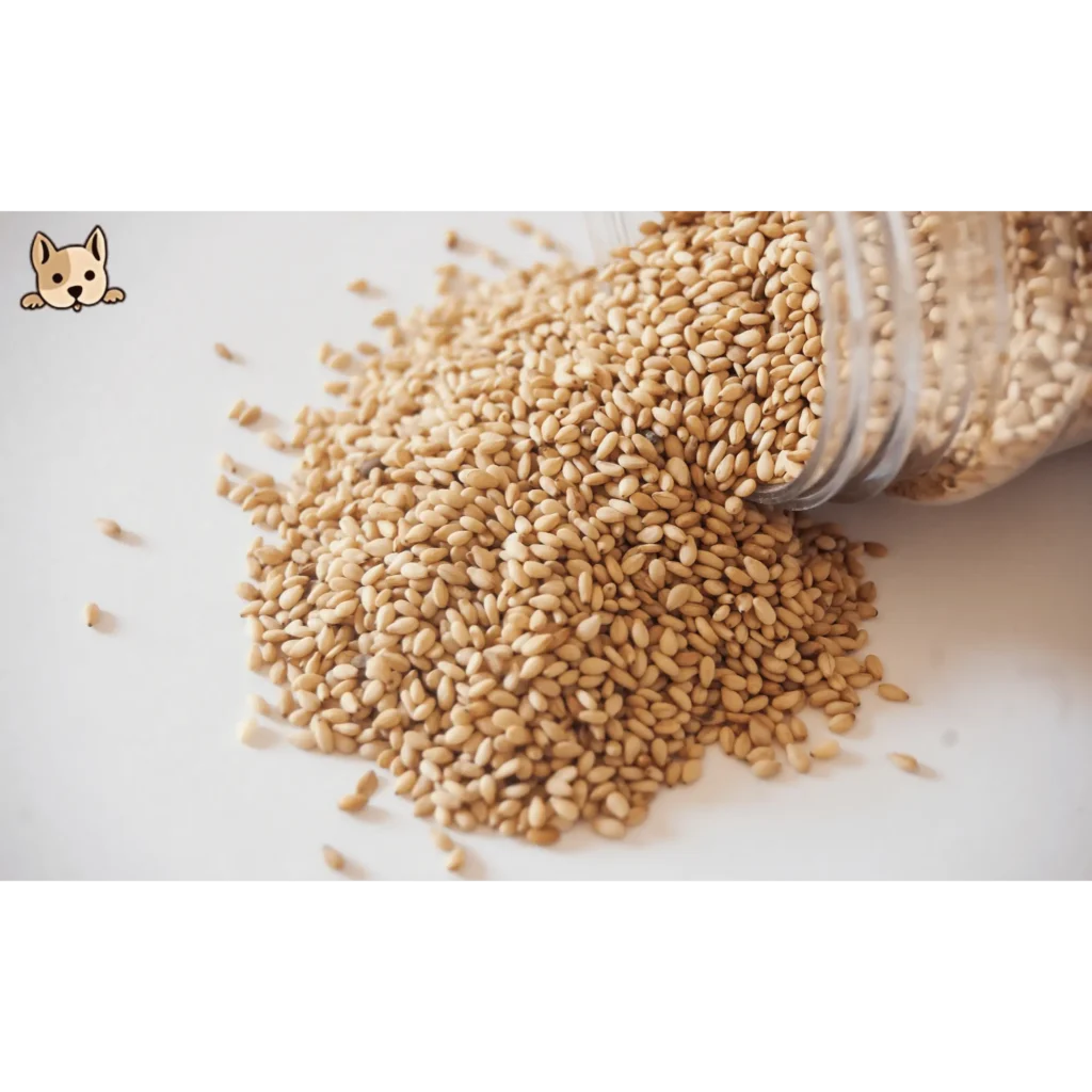 Health Benefits of Sesame Seeds for Dogs