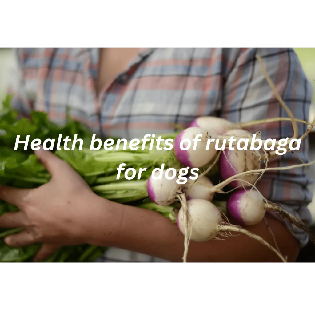 Health benefits of rutabaga for dogs