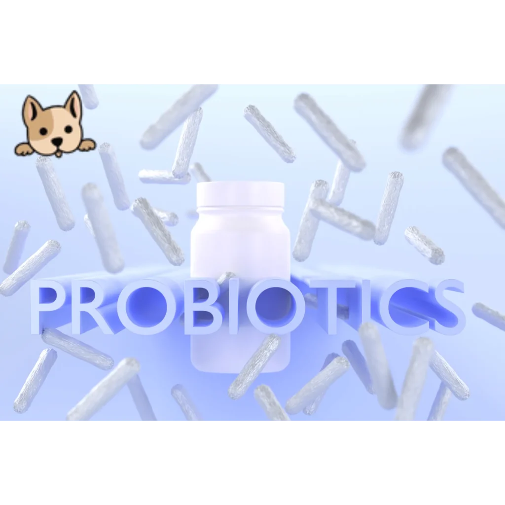 How Do You Choose the Best Probiotics for Dogs