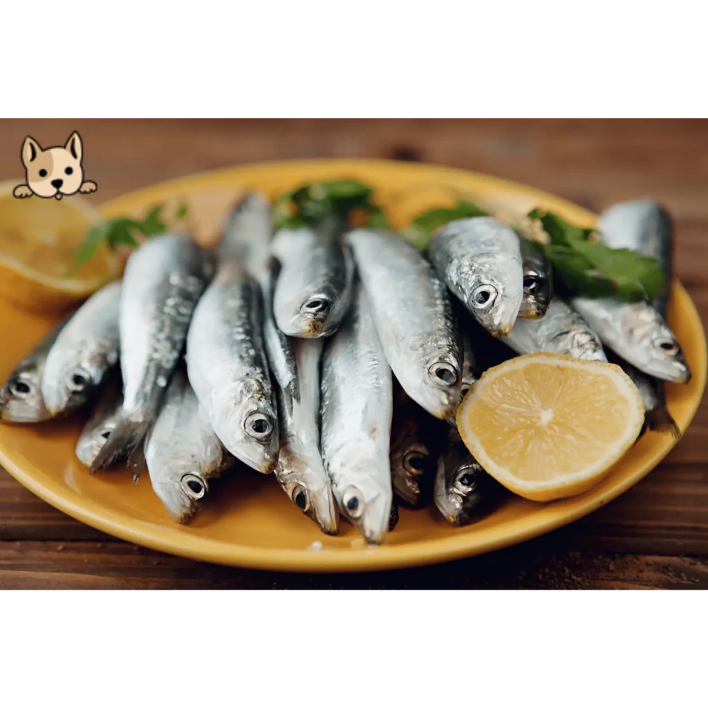 How Do You Safely Feed Sardines to Your Dogs