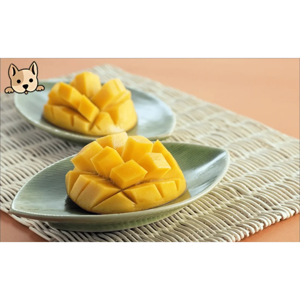 How Much Mango is Safe for Dogs to Eat