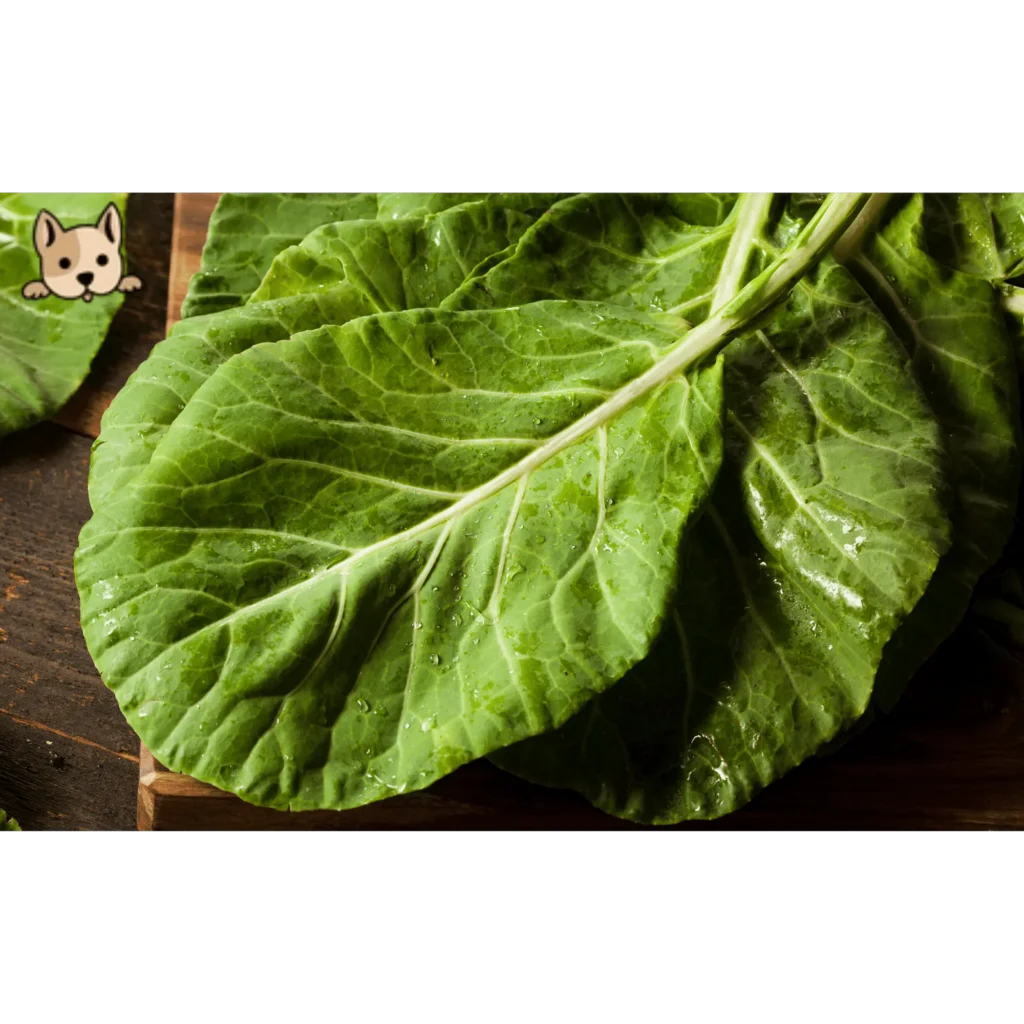 Potential Benefits of Collard Greens for Dogs