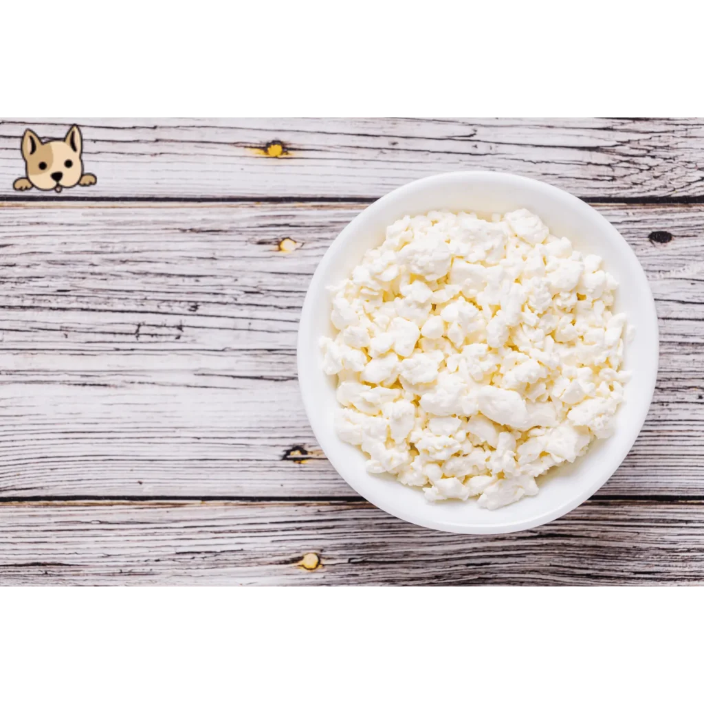 Potential Benefits of Cottage Cheese for Dogs