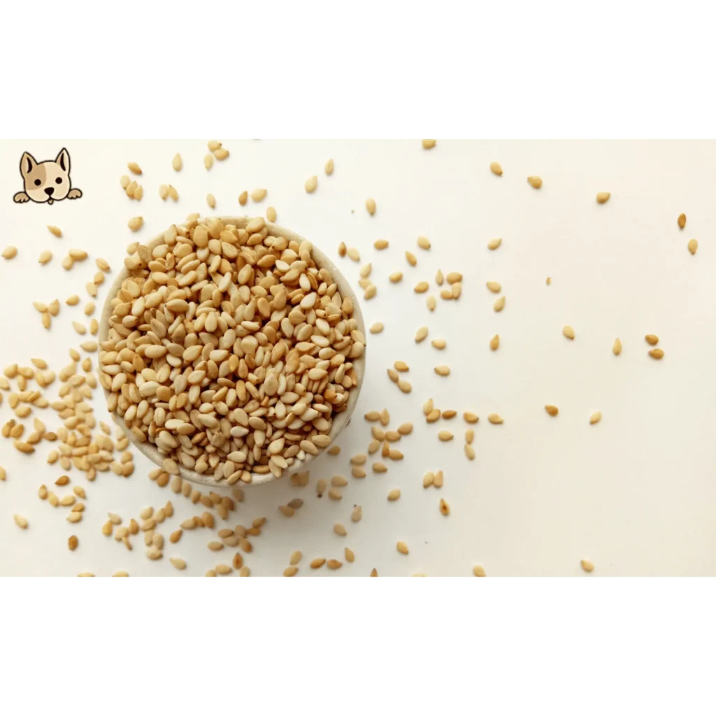 Potential Hazards of Sesame Seeds for Dogs