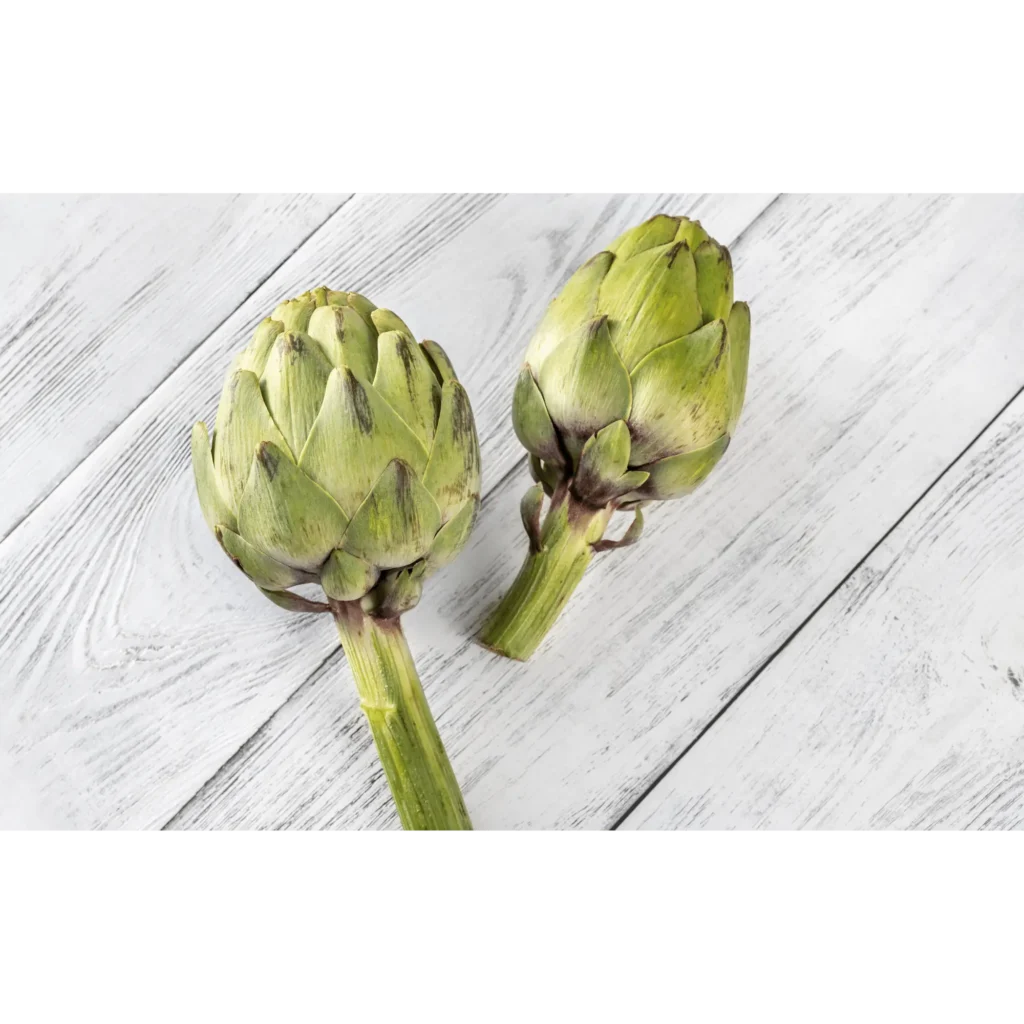 Risks of Feeding Your Dogs Artichokes