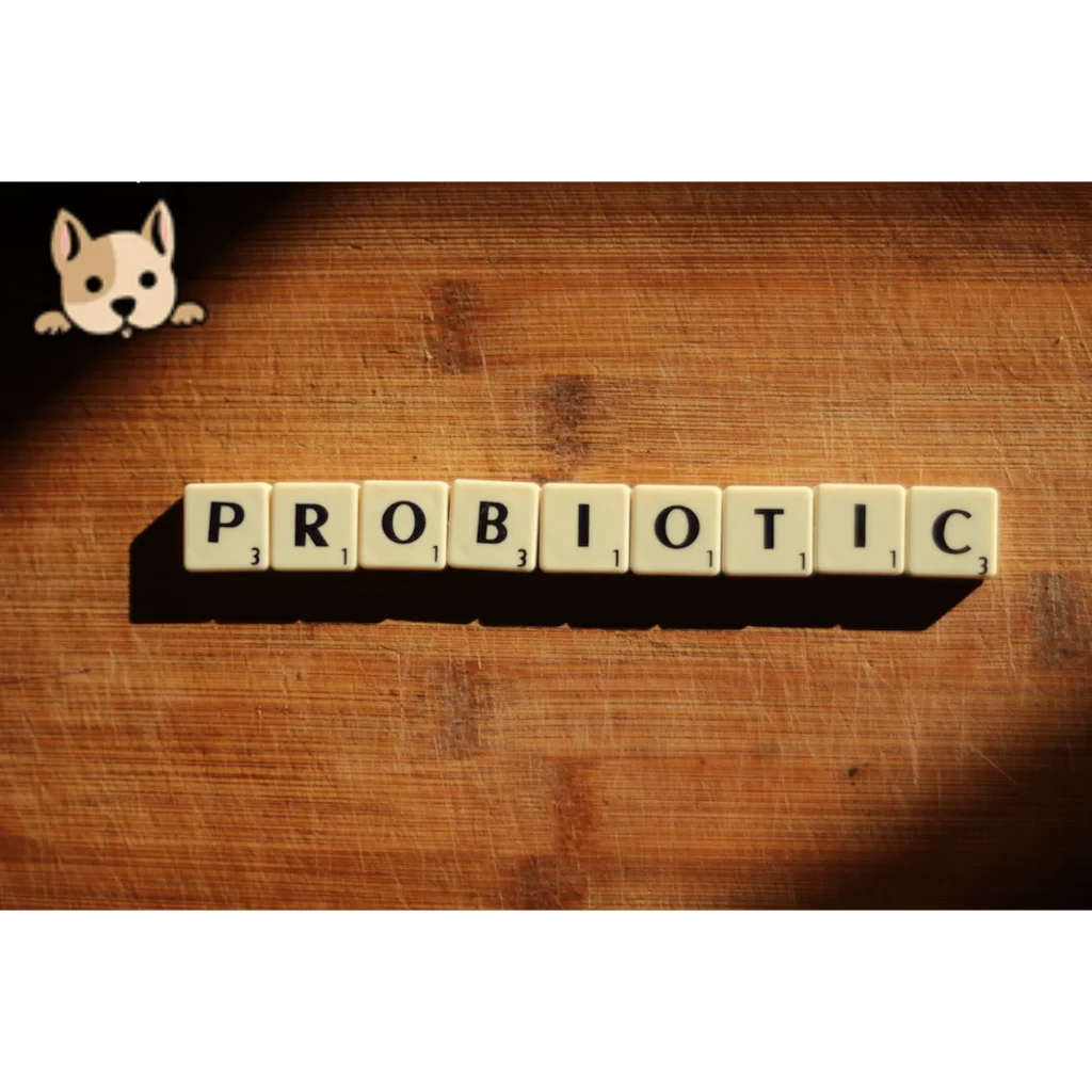 What are Probiotics for Dogs