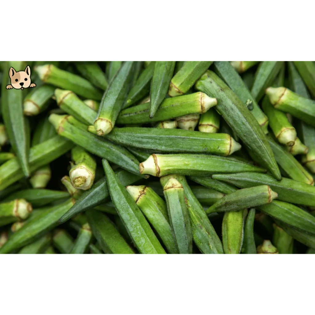 What is Okra