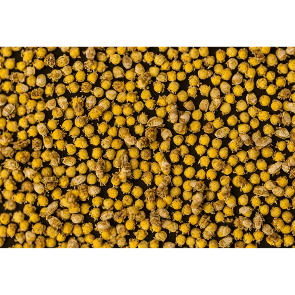 Where does bee pollen come from