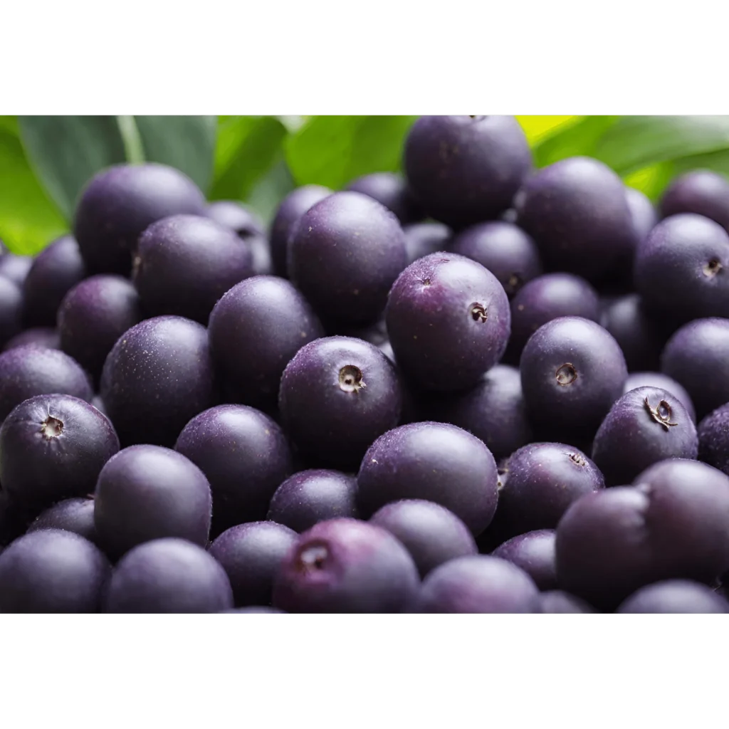 health benefits of acai berries to dogs